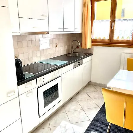 Gian - Close To The Kongresshaus, The Ice Hockey Stadium, Cross-country Skiing, The Eau-la-la Indoor Pool And Wellness, Large Supermarket, 2 Bus Stops, With An Indoor Garage And Fully Equipped 다보스