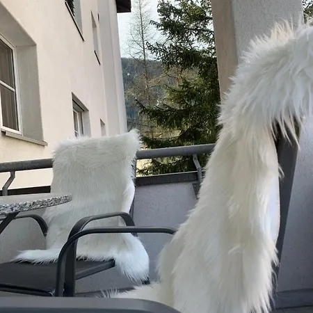 Gian - Close To The Kongresshaus, The Ice Hockey Stadium, Cross-country Skiing, The Eau-la-la Indoor Pool And Wellness, Large Supermarket, 2 Bus Stops, With An Indoor Garage And Fully Equipped شقة