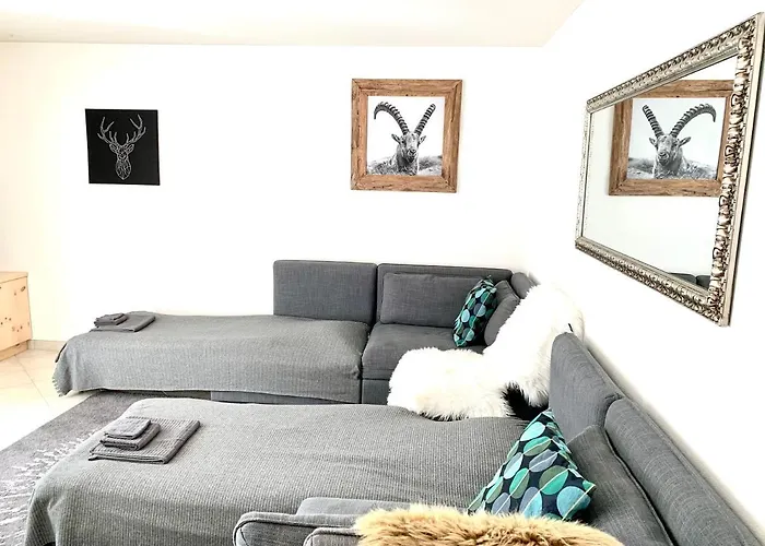 Apartment Gian - Close To The Kongresshaus, The Ice Hockey Stadium, Cross-country Skiing, The Eau-la-la Indoor Pool And Wellness, Large Supermarket, 2 Bus Stops, With An Indoor Garage And Fully Equipped *