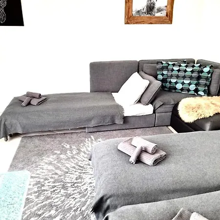 Gian - Close To The Kongresshaus, The Ice Hockey Stadium, Cross-country Skiing, The Eau-la-la Indoor Pool And Wellness, Large Supermarket, 2 Bus Stops, With An Indoor Garage And Fully Equipped Lägenhet