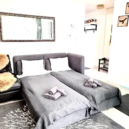 Gian - Close To The Kongresshaus, The Ice Hockey Stadium, Cross-country Skiing, The Eau-la-la Indoor Pool And Wellness, Large Supermarket, 2 Bus Stops, With An Indoor Garage And Fully Equipped Lägenhet