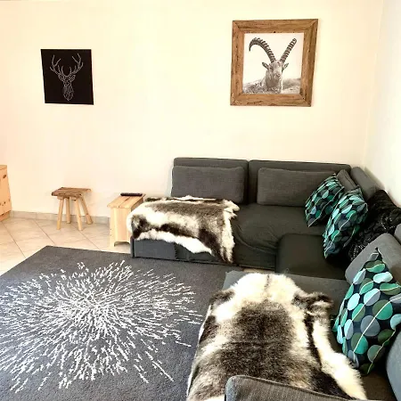 Gian - Close To The Kongresshaus, The Ice Hockey Stadium, Cross-country Skiing, The Eau-la-la Indoor Pool And Wellness, Large Supermarket, 2 Bus Stops, With An Indoor Garage And Fully Equipped Lägenhet *