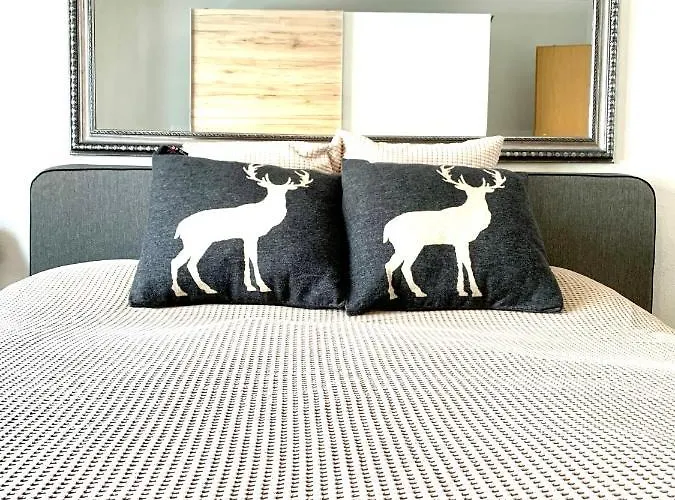 Lägenhet Gian - Close To The Kongresshaus, The Ice Hockey Stadium, Cross-country Skiing, The Eau-la-la Indoor Pool And Wellness, Large Supermarket, 2 Bus Stops, With An Indoor Garage And Fully Equipped